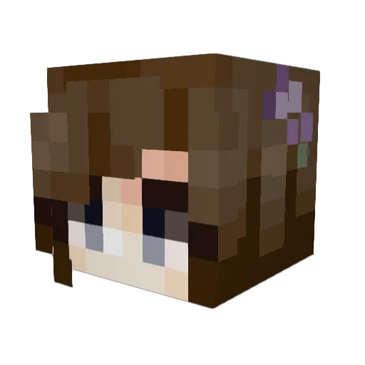 SkyHopper0424 Minecraft avatar head, 3D render