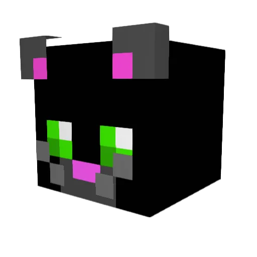 SkyHunter007 Minecraft avatar head, 3D render
