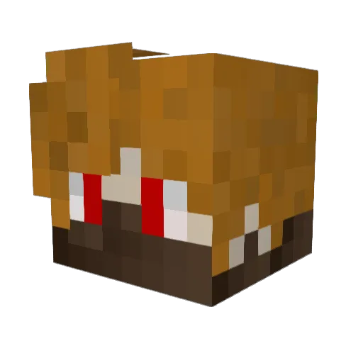 SkyHxp Minecraft avatar head, 3D render