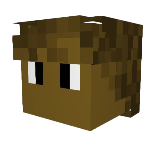 SkyJayden Minecraft avatar head, 3D render