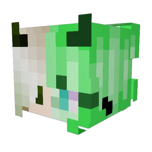 SkyJumper409 Minecraft avatar head, 3D render