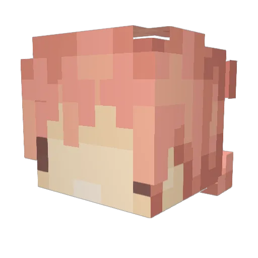 SkyKittyx3 Minecraft avatar head, 3D render
