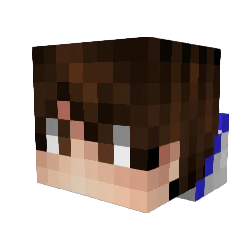 SkyLander21 Minecraft avatar head, 3D render