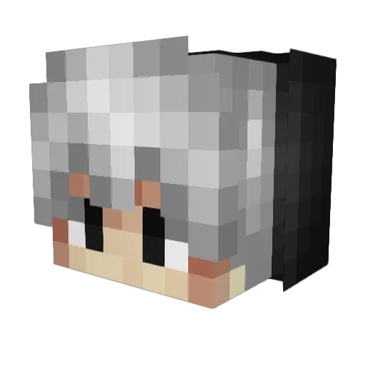 SkyLeo12 Minecraft avatar head, 3D render