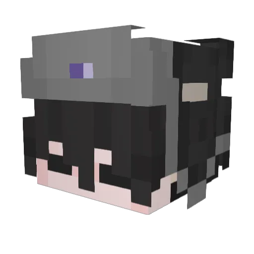 SkyLion06 Minecraft avatar head, 3D render