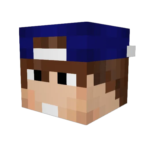 SkyMed Minecraft avatar head, 3D render