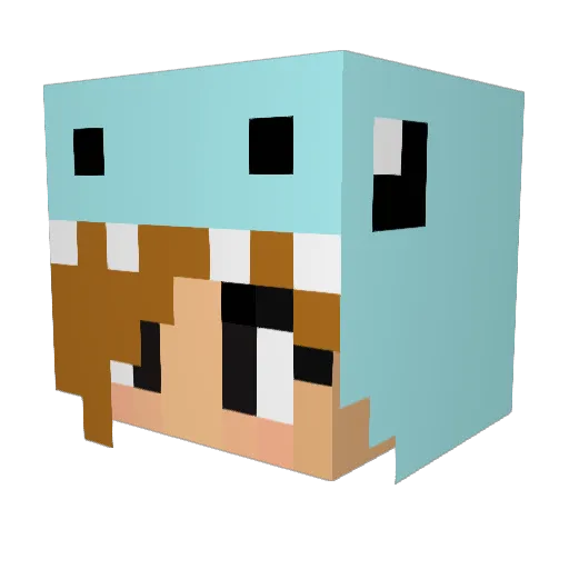SkyMidget Minecraft avatar head, 3D render