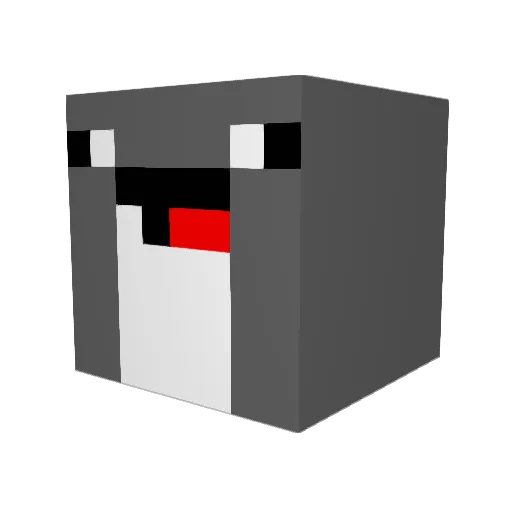 SkyNight9 Minecraft avatar head, 3D render