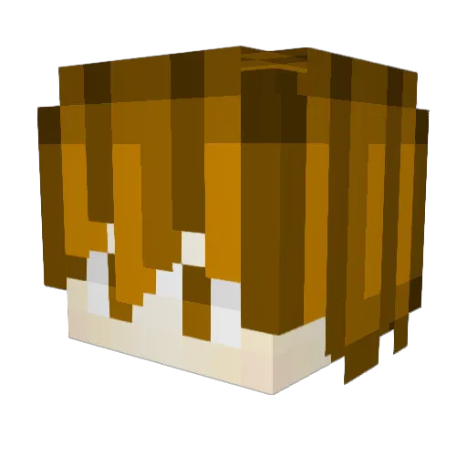 SkyNoName Minecraft avatar head, 3D render