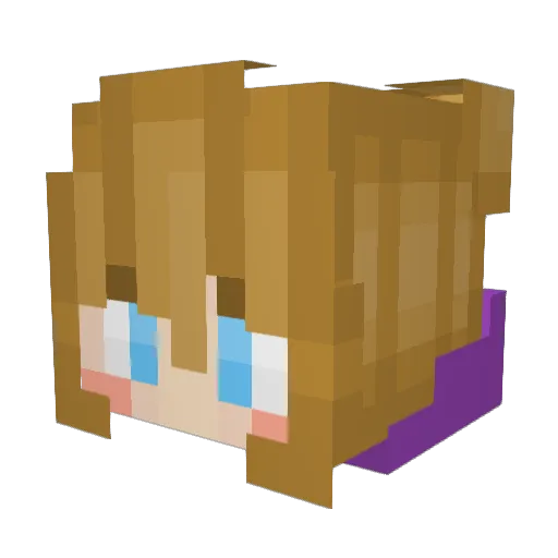 SkyNotFoundUwU Minecraft avatar head, 3D render