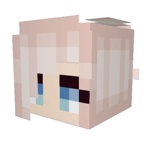 SkyPG Minecraft avatar head, 3D render