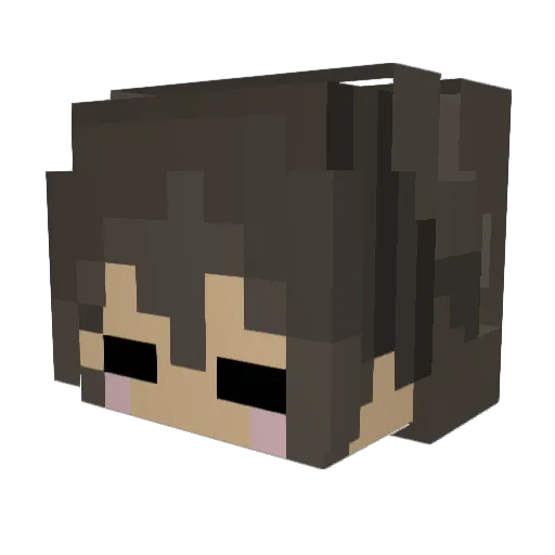 SkyPalletCat Minecraft avatar head, 3D render