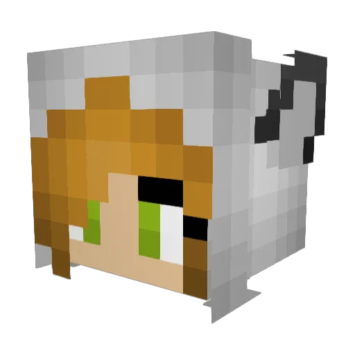 SkyPuppy7 Minecraft avatar head, 3D render