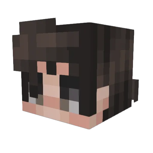 SkyResende25 Minecraft avatar head, 3D render