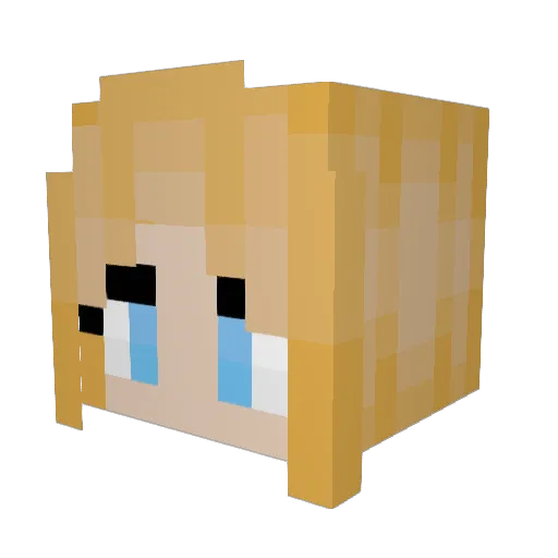 SkyRider157 Minecraft avatar head, 3D render