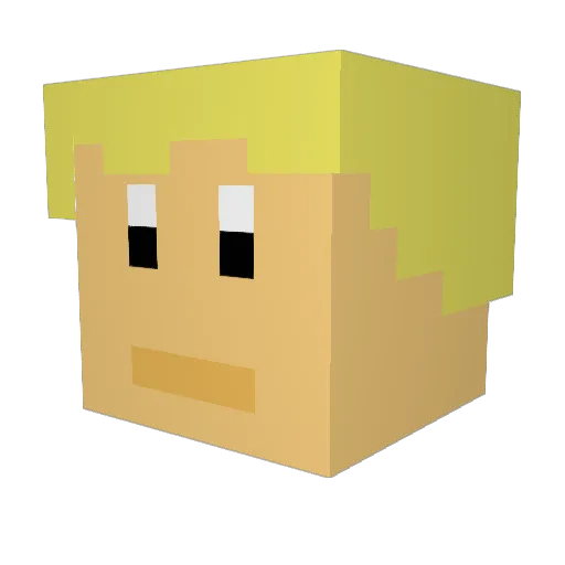 SkyRiderSteve Minecraft avatar head, 3D render