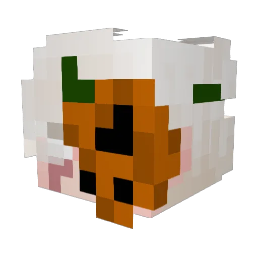 SkyRiseess Minecraft avatar head, 3D render