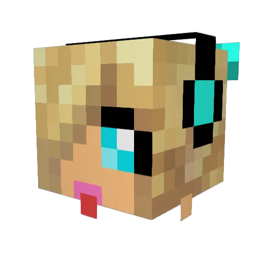 SkyRocket8 Minecraft avatar head, 3D render