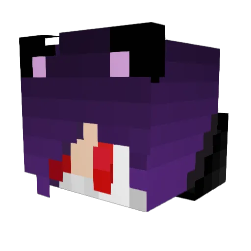 SkyRose12 Minecraft avatar head, 3D render