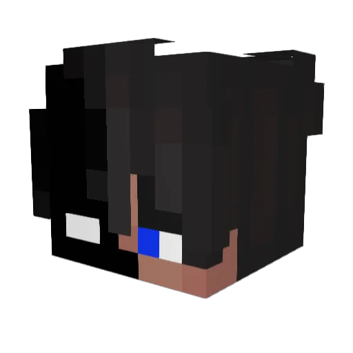 SkyRxsh Minecraft avatar head, 3D render