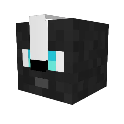 SkyRyda64 Minecraft avatar head, 3D render