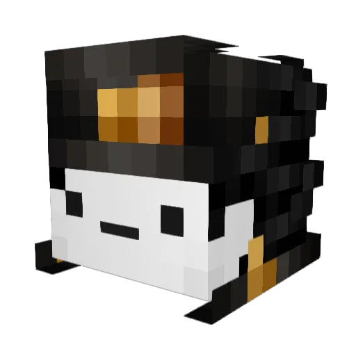 SkySalman291 Minecraft avatar head, 3D render