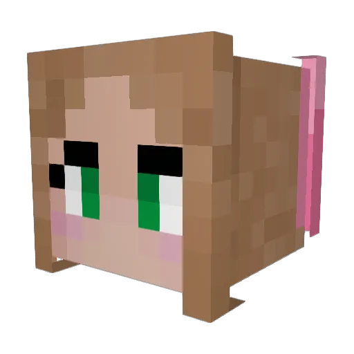 SkySandwich2319 Minecraft avatar head, 3D render