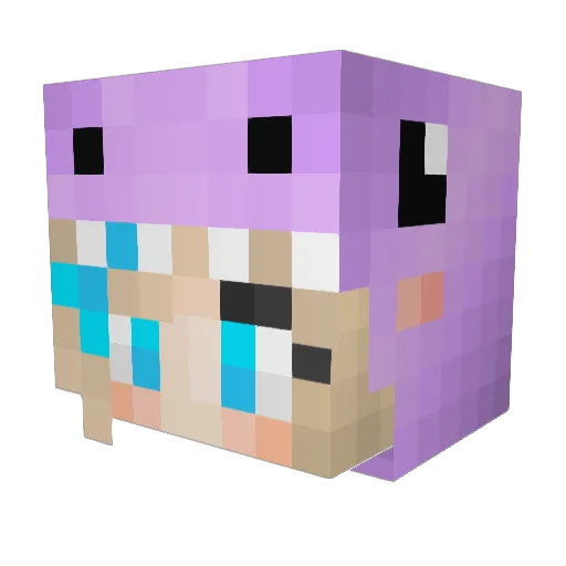 SkyShadowRS Minecraft avatar head, 3D render
