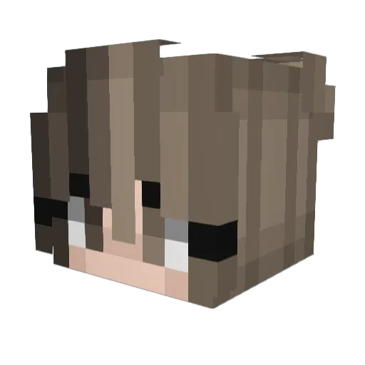SkyShop2 Minecraft avatar head, 3D render