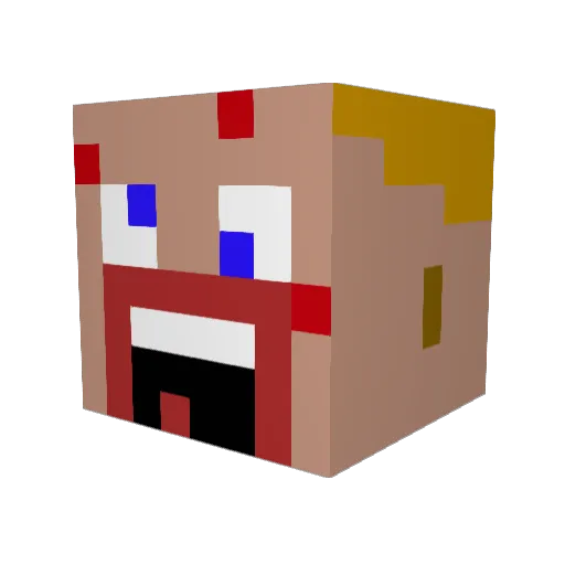 SkyStrider9999 Minecraft avatar head, 3D render