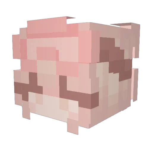 SkyTwilight11 Minecraft avatar head, 3D render