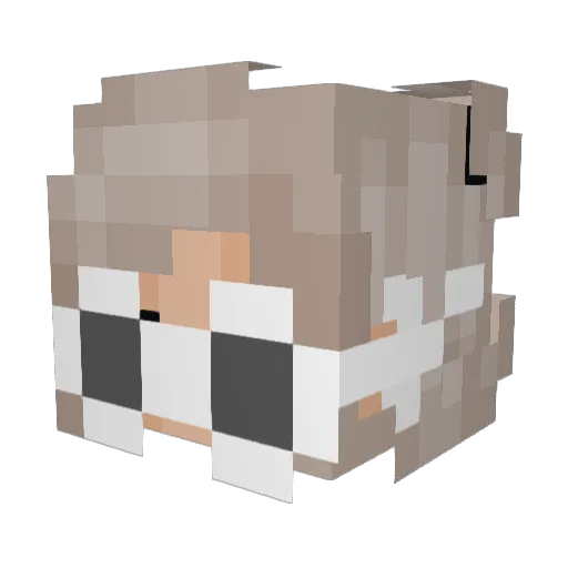 SkyWaffle Minecraft avatar head, 3D render