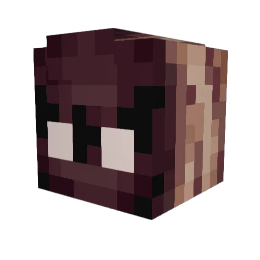 SkyWalIker Minecraft avatar head, 3D render