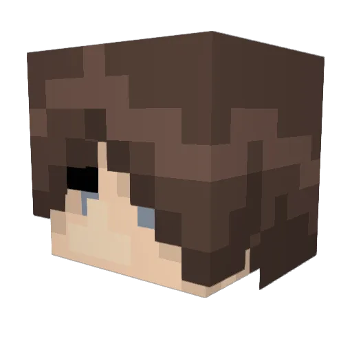 SkyWalkerSsS2 Minecraft avatar head, 3D render