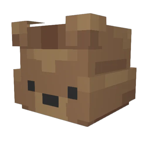SkyWalkerXR Minecraft avatar head, 3D render