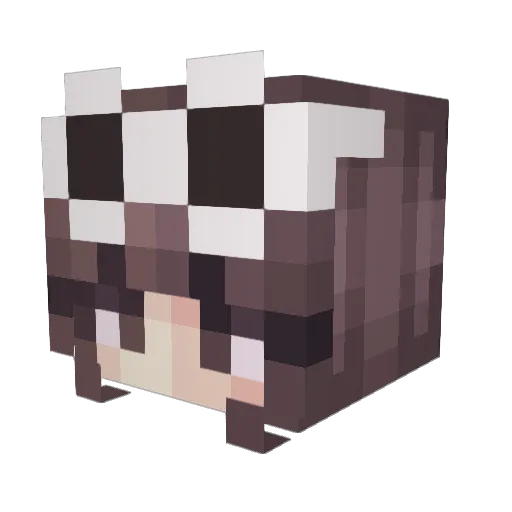SkyWifi Minecraft avatar head, 3D render