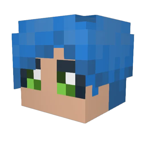 SkyWillGame Minecraft avatar head, 3D render