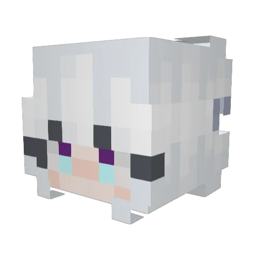 SkyWolf0045 Minecraft avatar head, 3D render