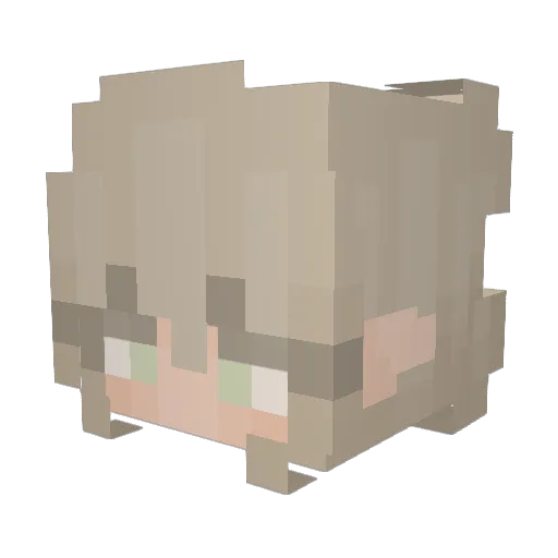 SkyWontFly Minecraft avatar head, 3D render