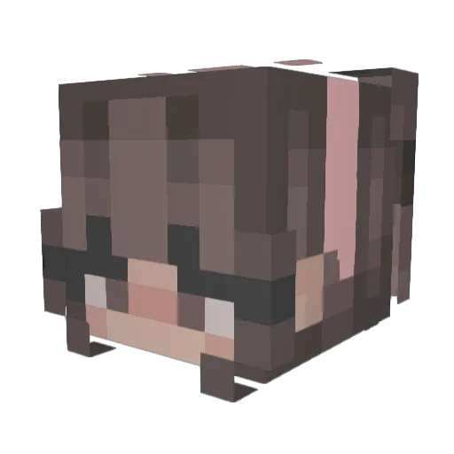 SkyZone2021 Minecraft avatar head, 3D render
