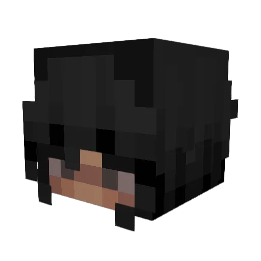 Sky_12345 Minecraft avatar head, 3D render
