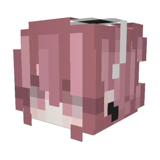 Sky_Flower007 Minecraft avatar head, 3D render