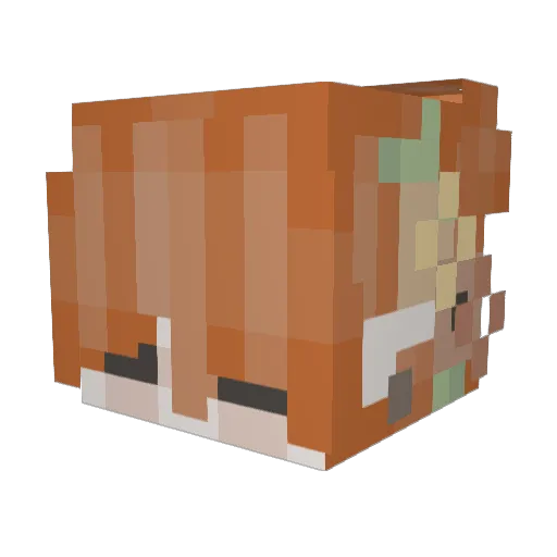 Sky_Granola__ Minecraft avatar head, 3D render