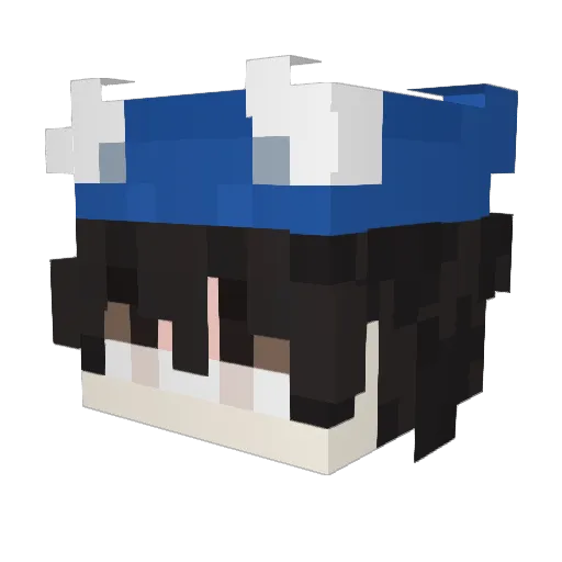 Sky_NZ Minecraft avatar head, 3D render