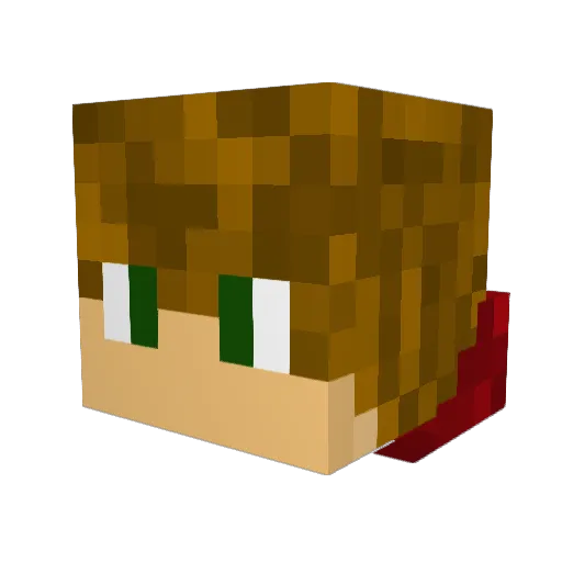 Sky_Wild Minecraft avatar head, 3D render