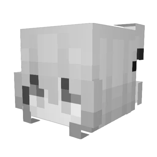 Sky_anoxia Minecraft avatar head, 3D render