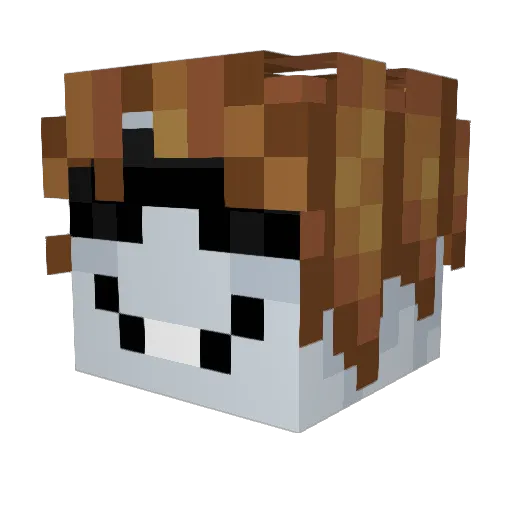 Sky_ttle Minecraft avatar head, 3D render