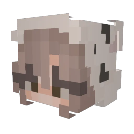 Sky_wolf30 Minecraft avatar head, 3D render