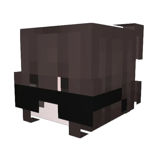 Sky_zk10 Minecraft avatar head, 3D render