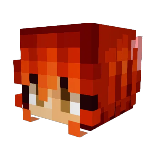 Skyaoki Minecraft avatar head, 3D render